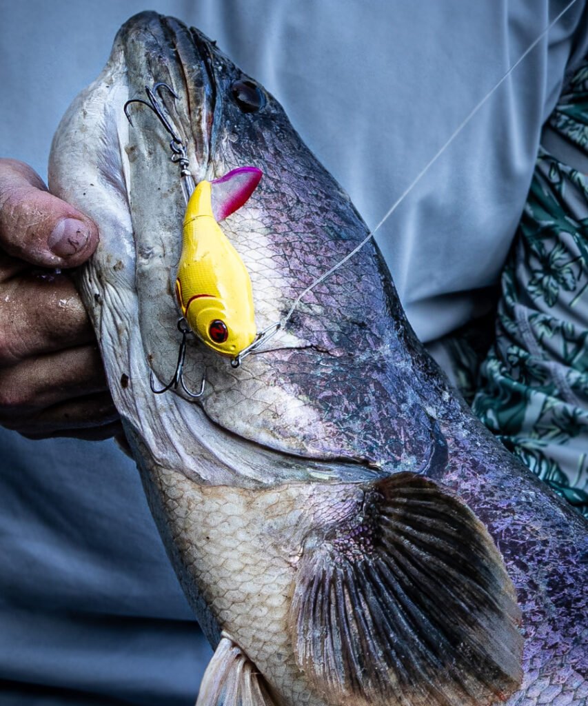 Giant Snakehead