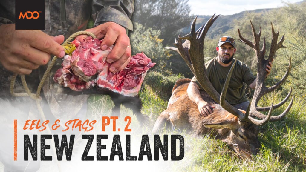 Bo poses with a Red Stag hunted in New Zealand while Ian ties a chunk of meat on a rope for a hungry eel. Text reads Eels & Stags, New Zealand, pt.2