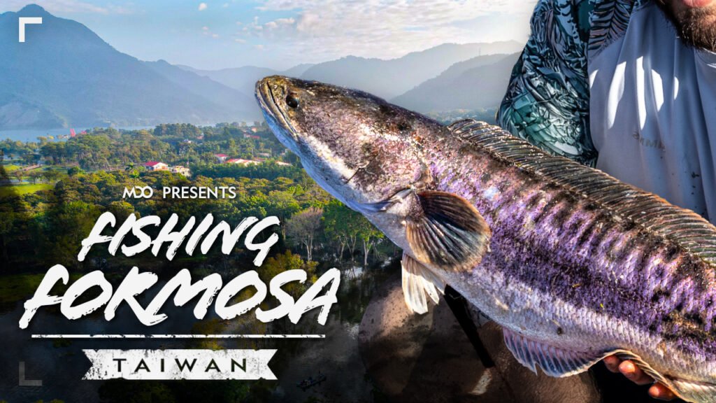 A Giant Snakehead is held with a beautiful Taiwanese backdrop. Text reads, "MDO presents, Fishing Formosa, Taiwan."