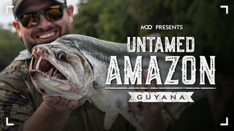Untamed Amazon, Bo holds a payara near the camera, showing large vampire-like teeth.