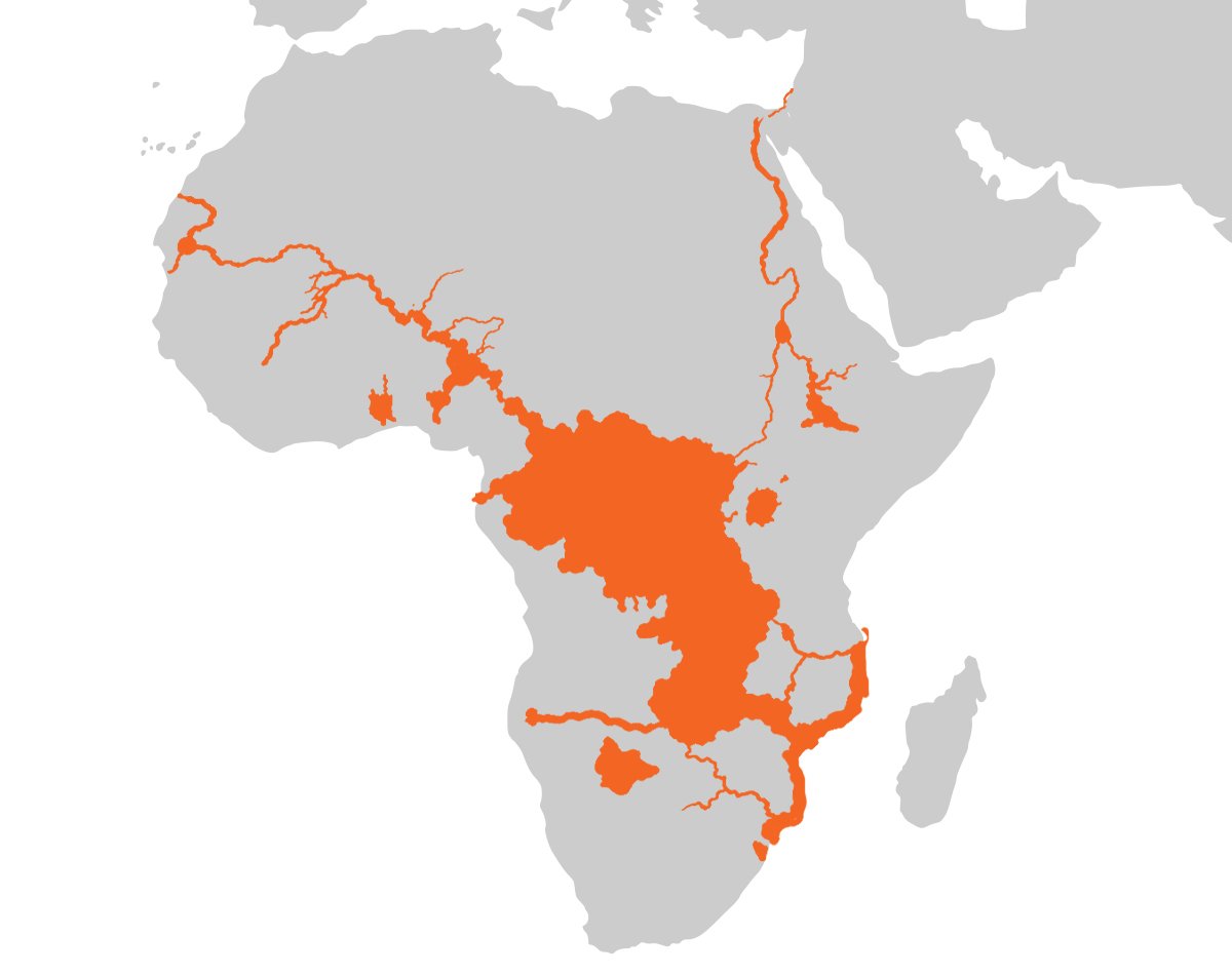 The habitat range of an African Tigerfish.