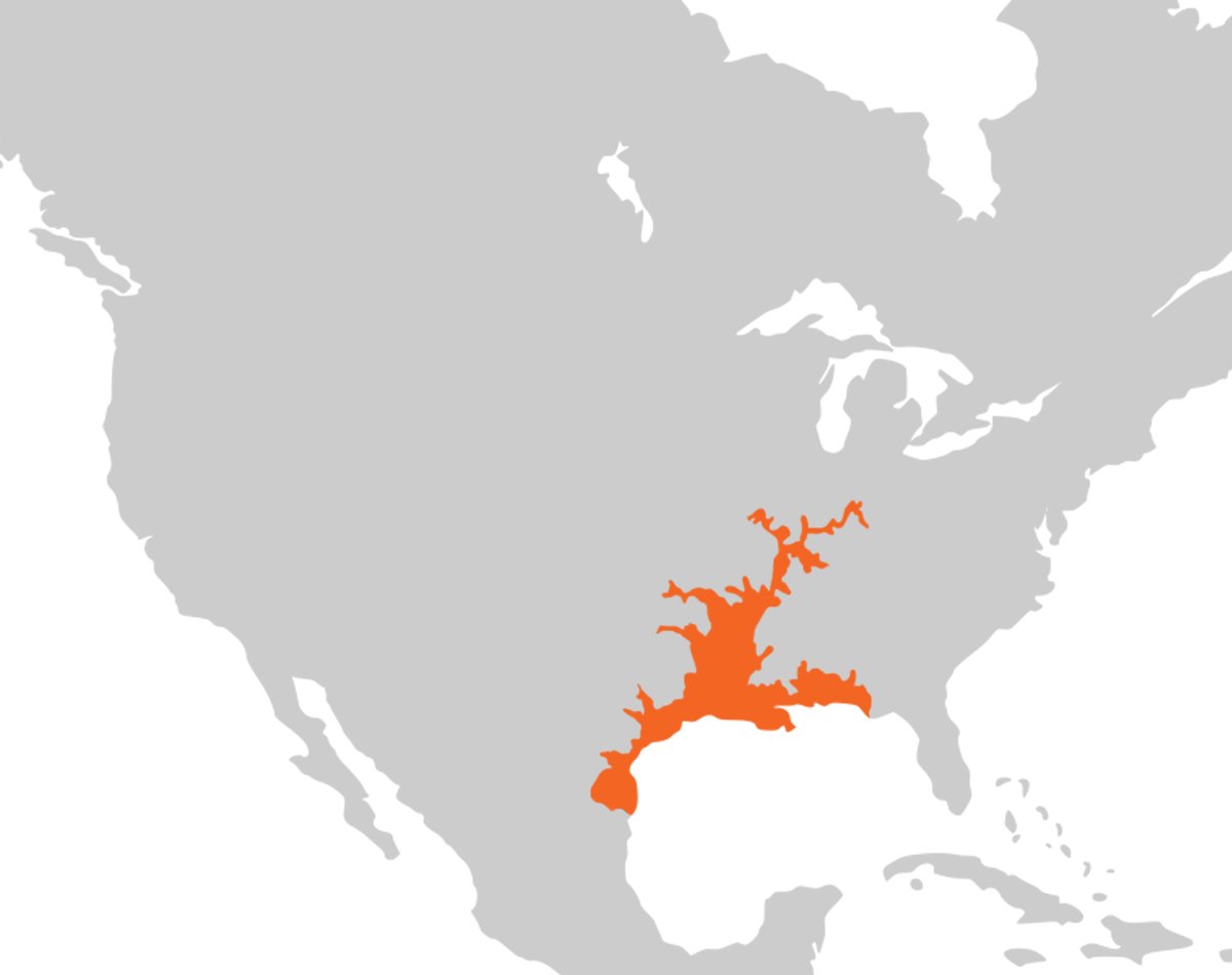 A habitat range map for the Alligator Gar.