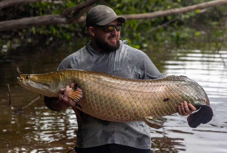 Bo holds a juvenile arapaima.